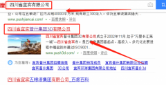 四川省宜賓普什集團(tuán)3D有限公司與我司做網(wǎng)站推廣項目