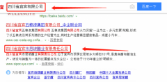 四川省宜賓市思坡醋業(yè)有限責(zé)任公司與我司做網(wǎng)站設(shè)計項目