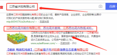 江蘇蘇北花卉股份有限公司與我司做網(wǎng)站推廣項目