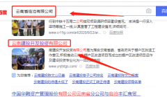 云南*投開發(fā)投資有限公司網(wǎng)站建設(shè)創(chuàng)意網(wǎng)站效果展示