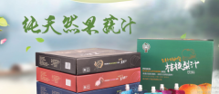 延邊樹*食品有限公司網(wǎng)站建設(shè)營銷型案例作品