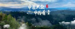 普洱淞*醫(yī)藥集團有限公司網(wǎng)站建設(shè)新一代自助建站、智能建站系統(tǒng)