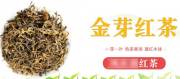 昆明*軒茶葉有限公司網(wǎng)站建設(shè)創(chuàng)意網(wǎng)站效果展示