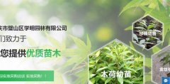 重慶市璧山區(qū)學(xué)*園林有限公司網(wǎng)站建設(shè)基本流程