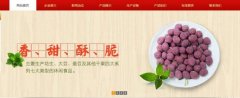 紅太*食品(榮成)有限公司制作網(wǎng)站新一代自助建站、智能建站系統(tǒng)